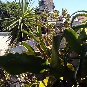  Apartmán Creative Itálie